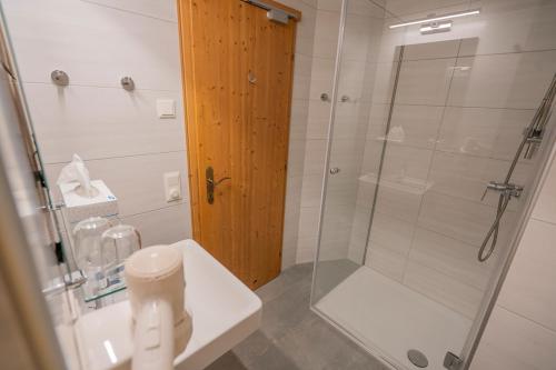 a bathroom with a shower and a toilet and a sink at Theater- und Feriendorf Königsleitn GmbH in Litschau