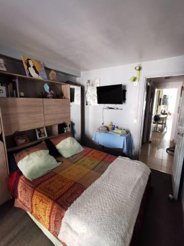 une chambre avec un grand lit et une télévision dans l'établissement Agréable chambre d'hôte à 50M de la mer, à Cannes