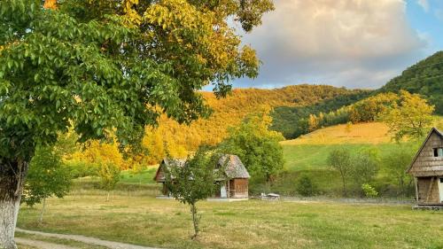 an old house and a barn in a field at Casa Aurelia in Chişcău