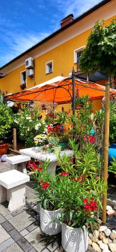 a garden with benches and flowers in front of a building at Apartment Luna in Ptuj