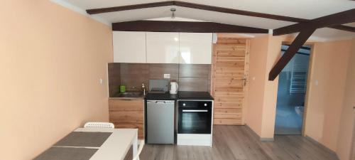 Küche/Küchenzeile in der Unterkunft Apartamenty Daola