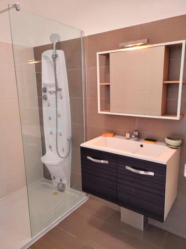 une salle de bain avec une douche, un lavabo et un miroir dans l'établissement Studio agréable avec vue mer à Ajaccio - 30 m² avec accès plage, à Ajaccio
