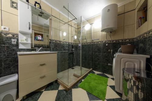 uma casa de banho com um chuveiro, um lavatório e um WC. em Vincenza Apartment em Kotor