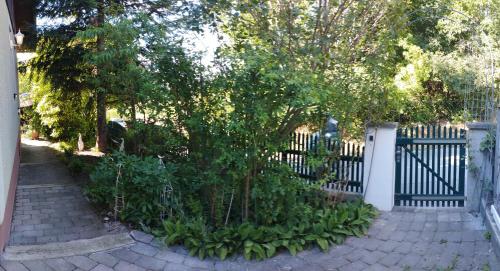 a fence with a bunch of plants next to a tree at B&B Family Basement Apartment, Breakfast, Free Parking, 5km from Tulln in Chorherrn