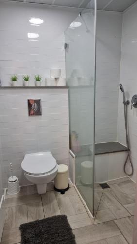 a bathroom with a toilet and a glass shower at Neot Golf Caesarea Garden Apartment in Caesarea