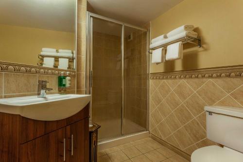 a bathroom with a sink and a shower at Ballyseede Castle in Tralee