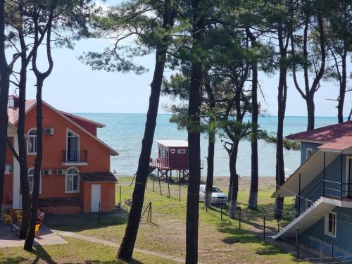 a view of the ocean through the trees at Picasso in Shekvetili
