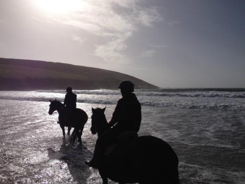 Horseback riding at a panziókat or nearby