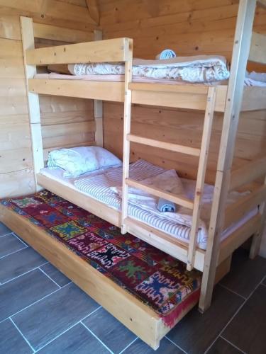 a bunk bed in a cabin at Raković Katun - Biogradska gora accomodation in Berane