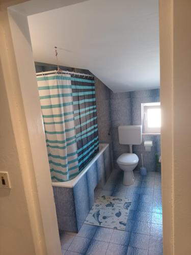 ein Bad mit einem WC und einem Duschvorhang in der Unterkunft Apartman Tudor in Stari Grad
