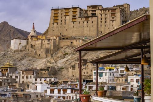 a large castle on top of a hill with buildings at LeHostel in Leh