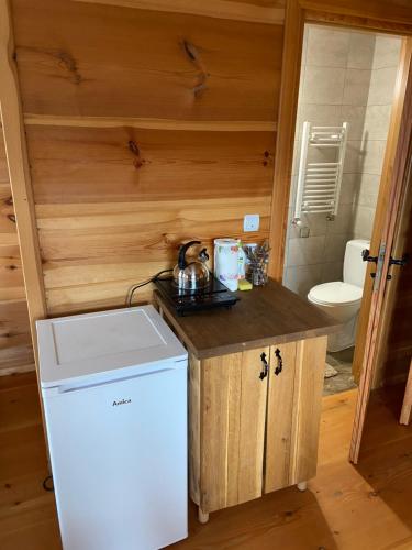 eine Küche mit Kühlschrank und Spüle in einem Zimmer in der Unterkunft Ku Sośnie 2 in Rzepiska