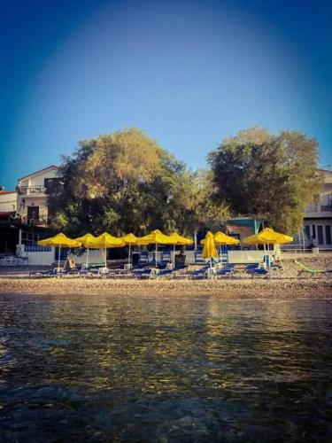 Φυσικό τοπίο κοντά σε αυτό το ξενοδοχείο