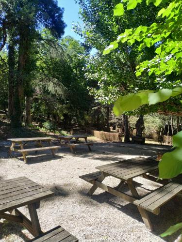 a group of picnic tables in a park at Tapada Nacional de Mafra in Mafra