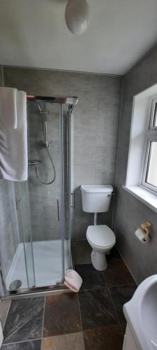 Koupelna v ubytování Conn Oriel B&B