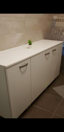 Apartman Dalmacija