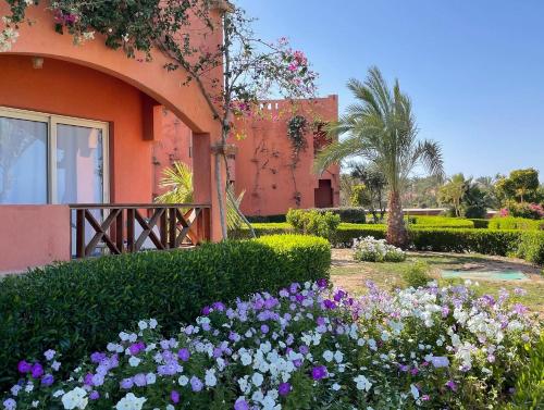 Gallery image of SOULOTEL EMERALD Resort & Spa in Marsa Alam City