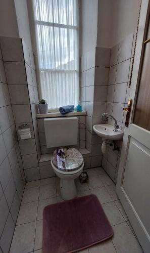 a bathroom with a toilet and a sink at APP Old Garden House in Šibenik
