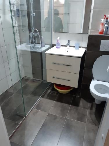 uma casa de banho com um chuveiro, um lavatório e um WC. em Tomy em Travnik