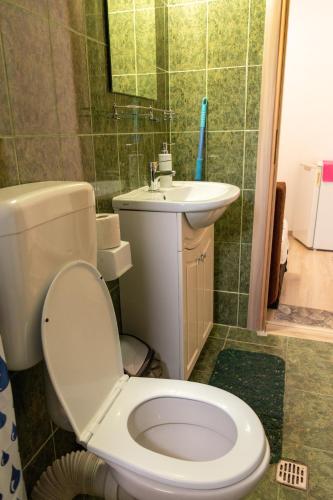a bathroom with a toilet and a sink at Vila Blue Marine 2 Mai in 2 Mai