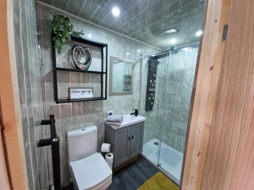 a bathroom with a shower and a toilet and a sink at Birdsong lodge - peaceful - dog friendly in Sutton on Sea