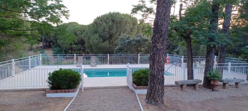a swimming pool with benches and trees in a park at Viña Concepción in Andújar