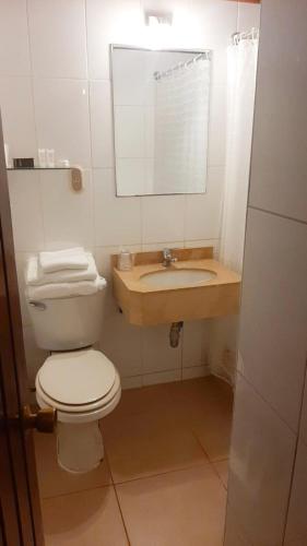 Un baño con inodoro, lavabo y espejo. en Panamericana Hotel Ancud, en Ancud
