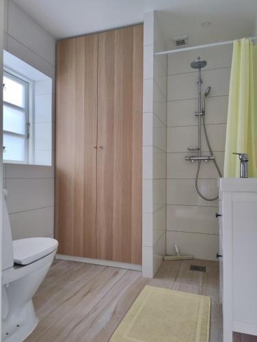 a bathroom with a toilet and a shower at Luxury retreat with direct access to nature in Bøtø By