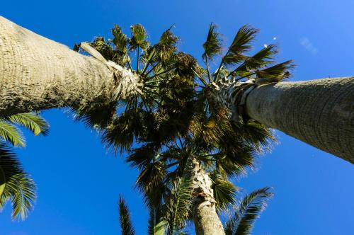 Gallery image of Hotel Regent - In pieno Centro in San Benedetto del Tronto