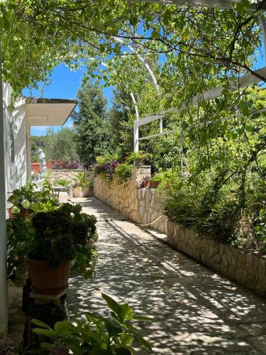 Gallery image of Gorana apartman with swimming pool in Jelsa