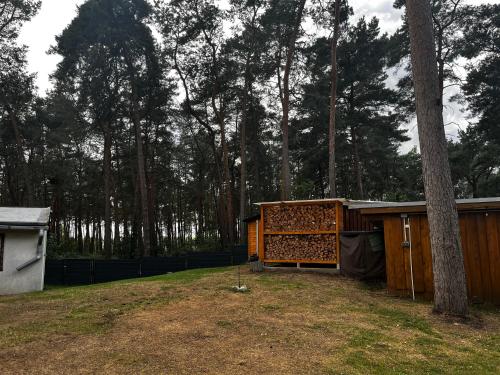 a house with a fence and a tree at Kiefernblick in Plötzky