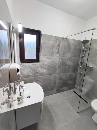 a bathroom with a shower and a sink and a toilet at Vila CASA HATERE in Moisei
