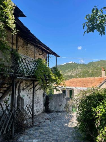 an old house with a cobblestone street in front at Rodanthe's Guest House in Stemnitsa