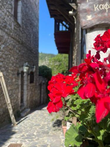 a bush of red flowers in front of a building at Rodanthe's Guest House in Stemnitsa