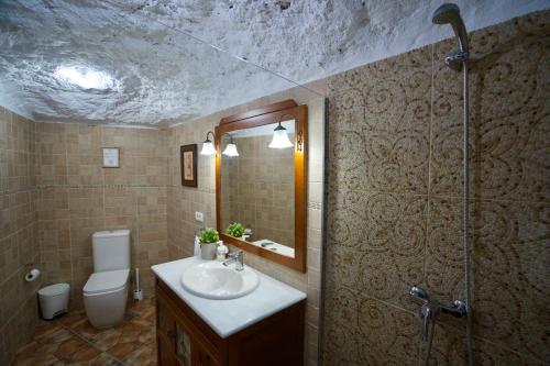 La salle de bains est pourvue d'un lavabo, de toilettes et d'une douche. dans l'établissement Casa Cueva La Herencia, à San Miguel de Abona