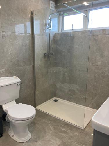 a bathroom with a shower with a toilet and a sink at Highgrange Apartments in Dundalk