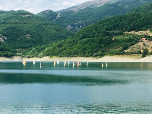 a group of birds standing on a dock in the water at Casa sul lago Nonna Gio' in Colle di Tora
