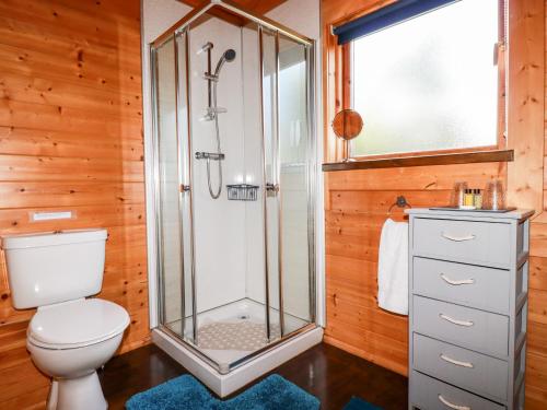 a bathroom with a shower and a toilet at Maple Lodge in Bodmin