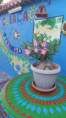 a plant in a pot on a table with a sign at Terrakota Apartments in Willemstad