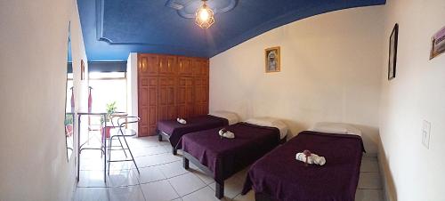 Casa Violeta – Photos 2
