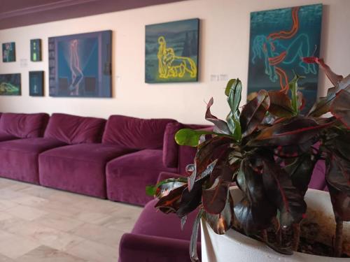 Casa Violeta – Photos 3