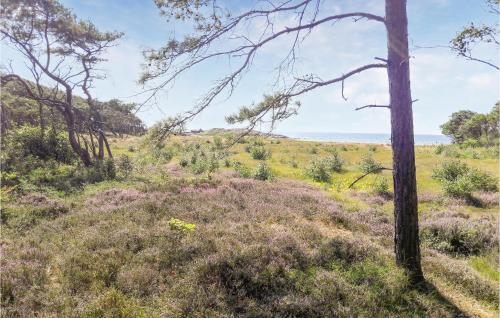 a grassy field with trees and shrubs at Lovely Home In Heberg With Sauna in Heberg