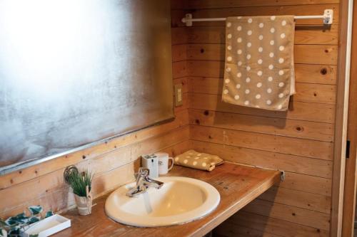 a bathroom with a sink and a mirror at Villa Regalo pure hot spring in Kamegawa