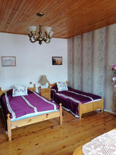 a bedroom with two beds and a chandelier at Elida Guest House in Shabla