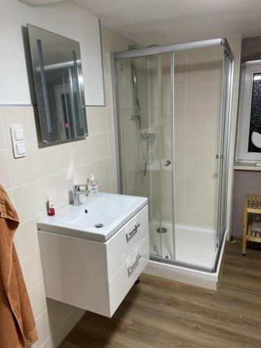een witte badkamer met een douche en een wastafel bij Ferienwohnung an der Dill in Dillenburg