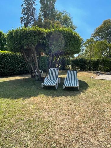 Κήπος έξω από το Sunflower apartament