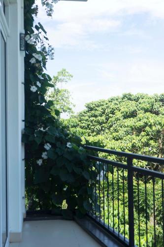 a balcony with a plant with white flowers at Amandara Hills Kandy in Kandy