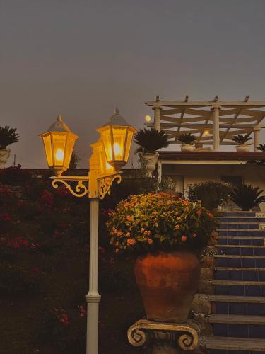 a street light with a pot of flowers next to a building at L'incanto di Nausicaa in Ascea