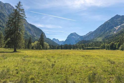 a tree in a field with mountains in the background at Apartment at the Achensee in Achensee