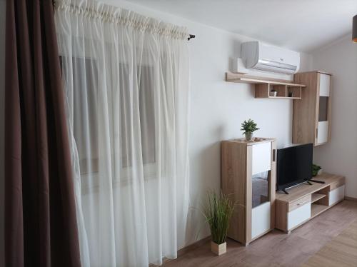 Televízia a/alebo spoločenská miestnosť v ubytovaní Apartman Periska